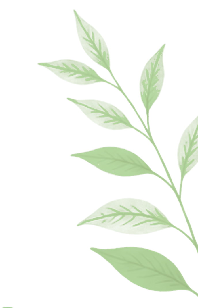 Ayurvedic Botanical Herb Branch Illustration