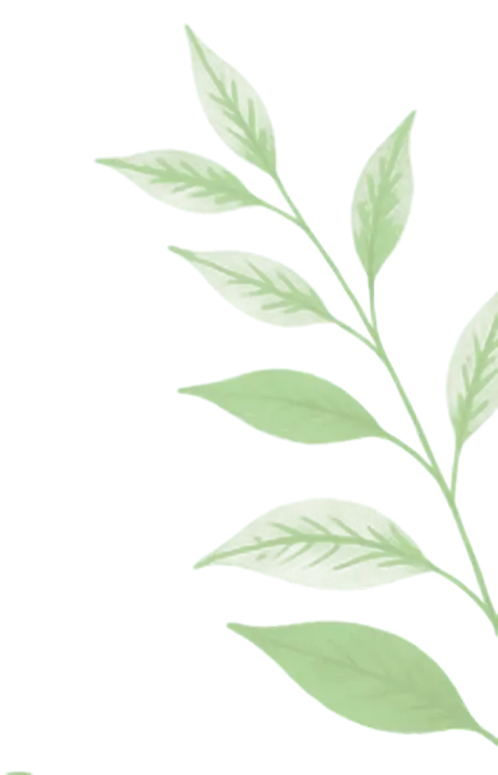 Ayurvedic Botanical Herb Branch Illustration